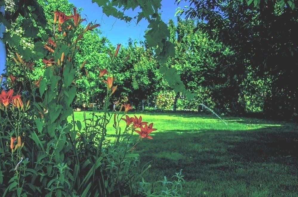 Buyuk Avanos Oteli Exterior photo